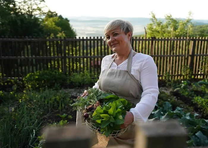 His-a Za 2 컨트리하우스