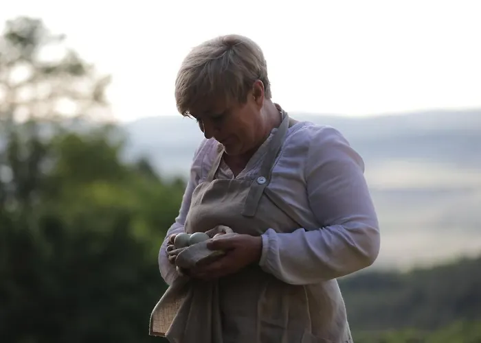 His-a Za 2 * Dragatus