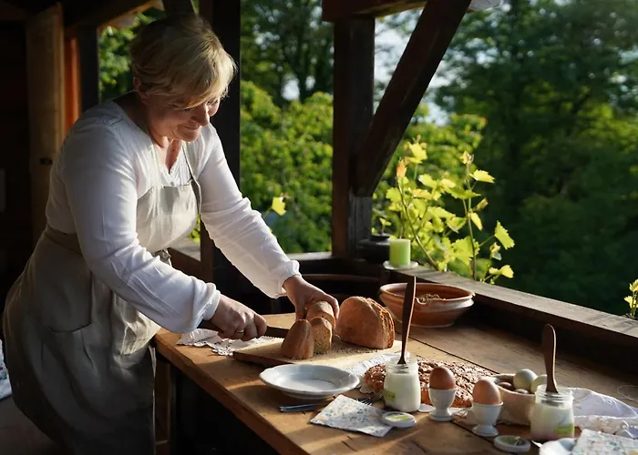 His-a Za 2 Летний дом Dragatus